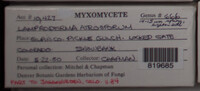 Image Associated With the Occurence